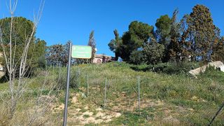 Terreno en venta en Bargas