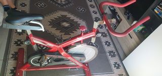 Bicicleta BH Fitness gym