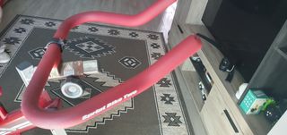 Bicicleta BH Fitness gym