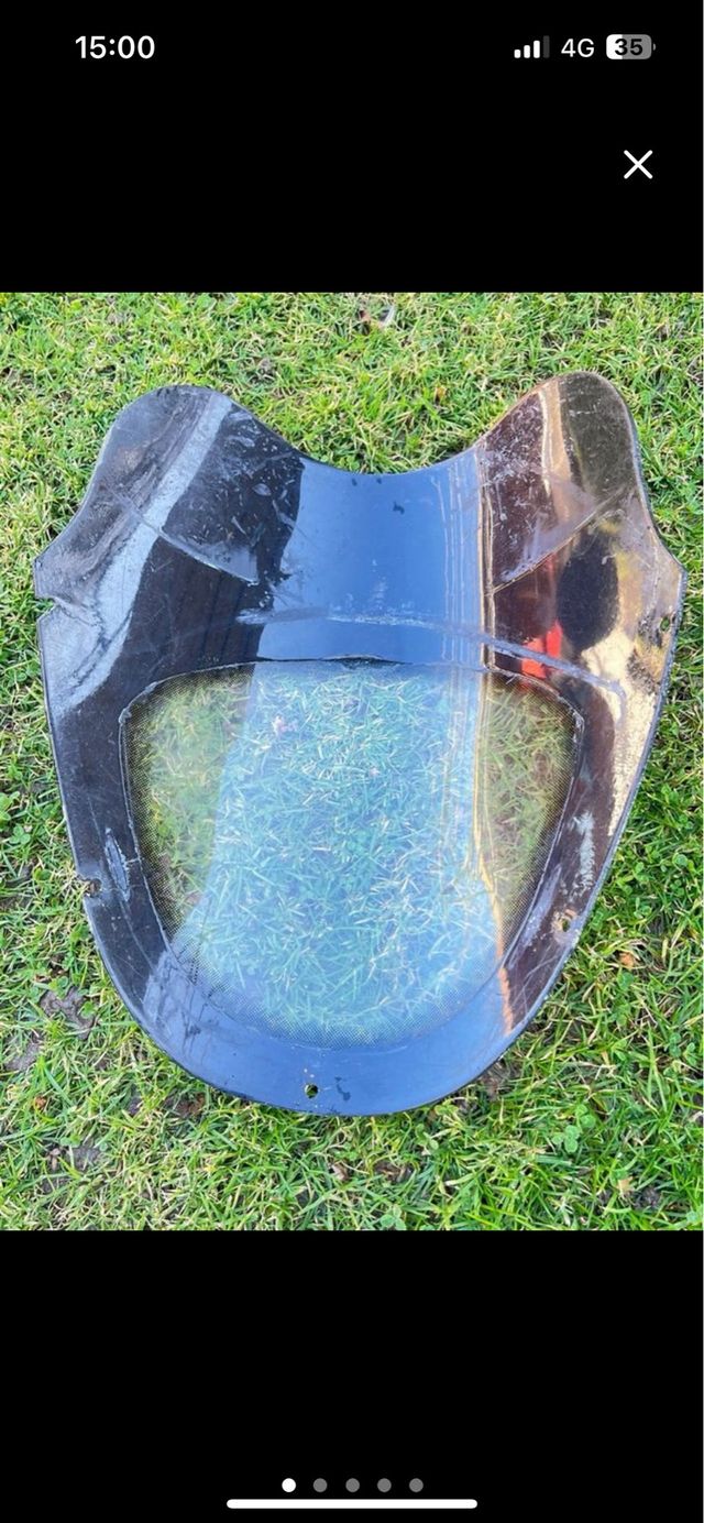 Cupula Gas Gas Wild 300