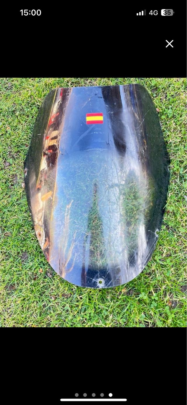 Cupula Gas Gas Wild 300