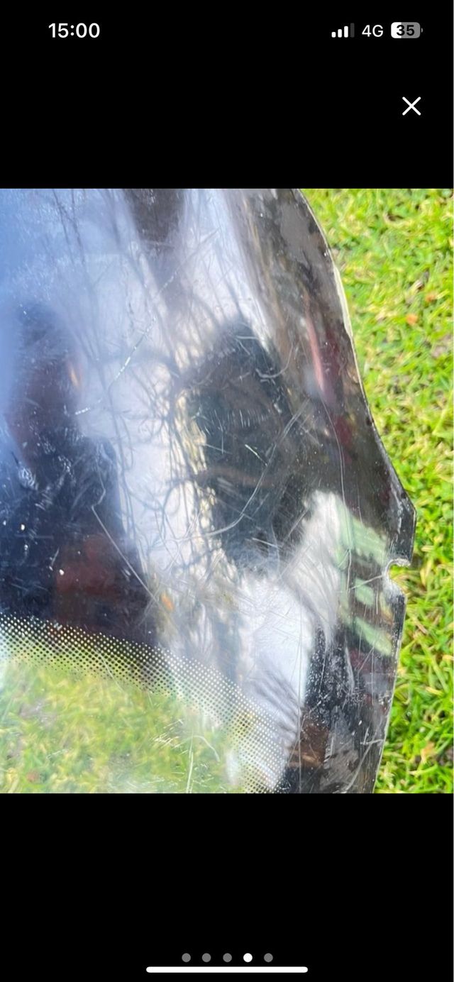 Cupula Gas Gas Wild 300