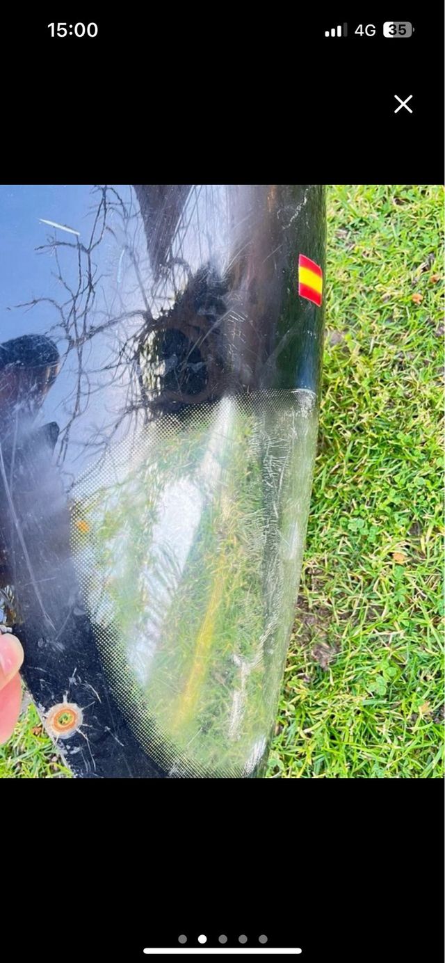 Cupula Gas Gas Wild 300