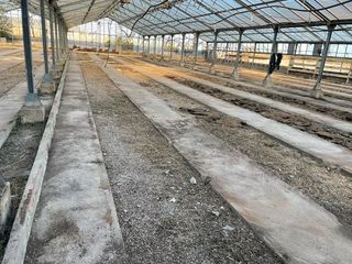 Nave industrial en venta en Catadau