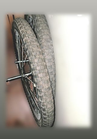 Remolque bicicleta infantil