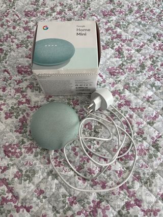 Google Home Mini - Mint