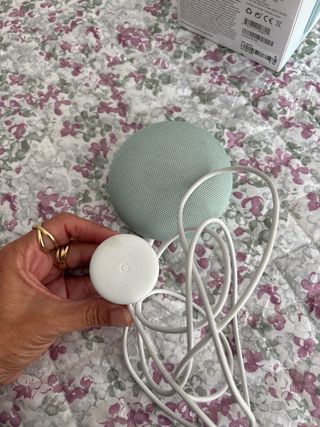 Google Home Mini - Mint