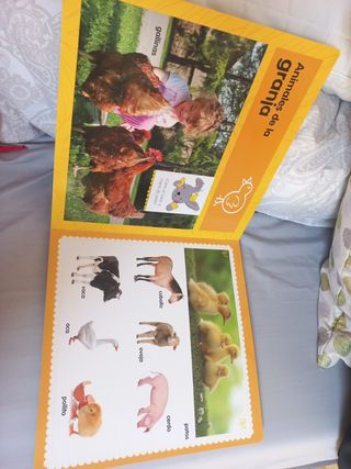 El gran libro de los animales (Spanish Edition)