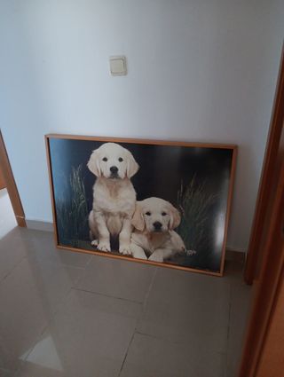Cuadro cachorros Golden Retriever