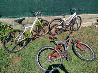 3 Bicicletas usadas