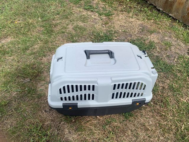 Transportín Animales Gris