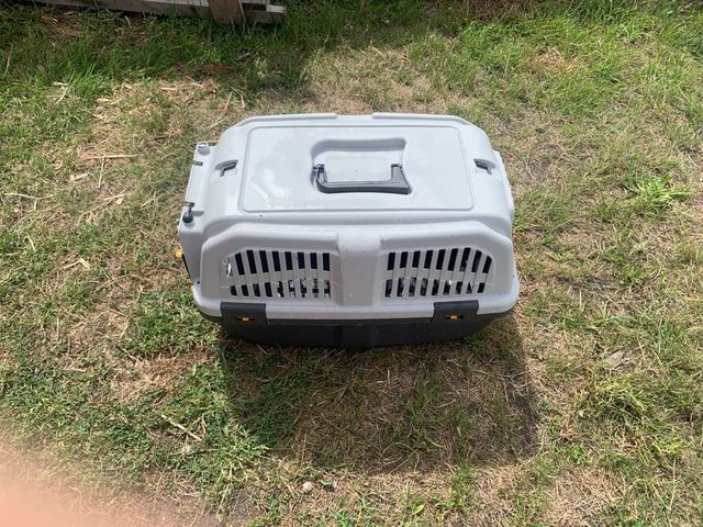 Transportín Animales Gris