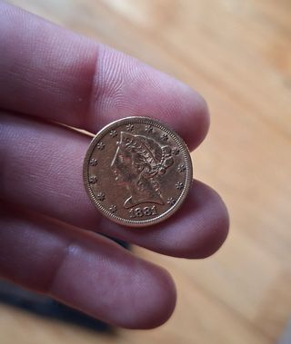 Moneda in oro da 5 dollari (US 1881)