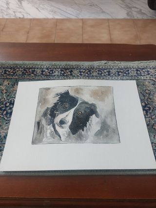 Acquerelli