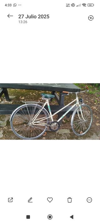 Bicicleta paseo vintage