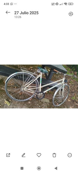 Bicicleta paseo vintage