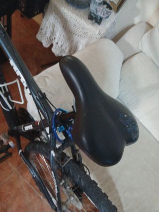 Bicicleta montaña Zephyr 326