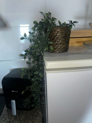 Planta artificial en maceta