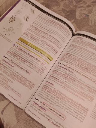 Desarrollo Cognitivo y Motor