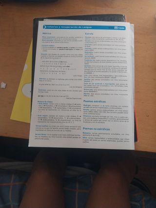 Refuerzo y recuperación de Lengua 3 ESO (2015)