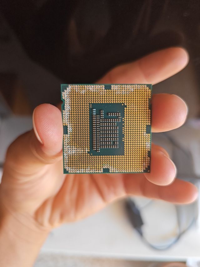 Procesador Intel Celeron G1620