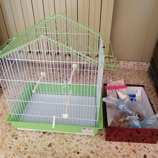 Jaula pájaros verde-blanca en buen estado
