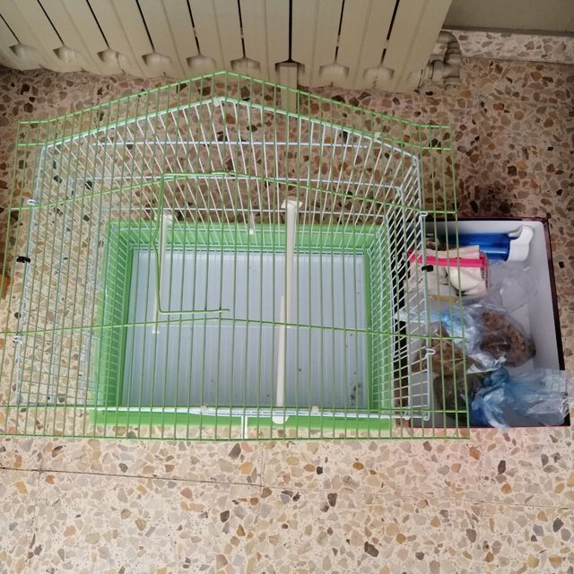 Jaula pájaros verde-blanca en buen estado