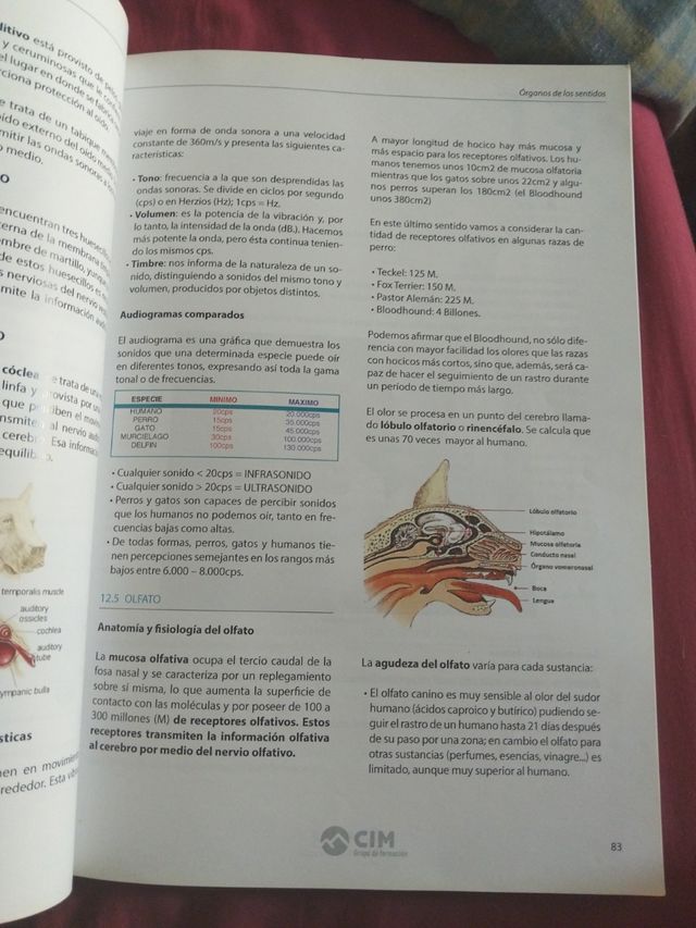 Auxiliar técnico veterinario