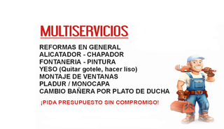 PROFESIONALES DE LAS REFORMAS / REFORMA ECONÓMICAS