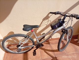 Bicicleta Topbike montaña