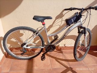 Bicicleta Topbike montaña