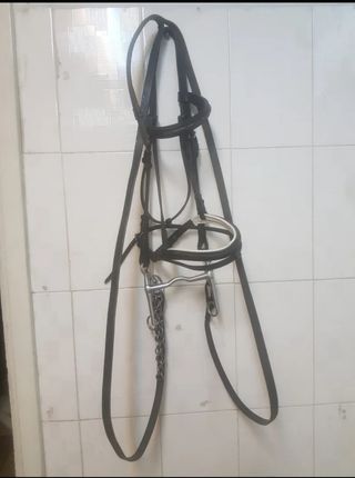 Cabezada cuero completa