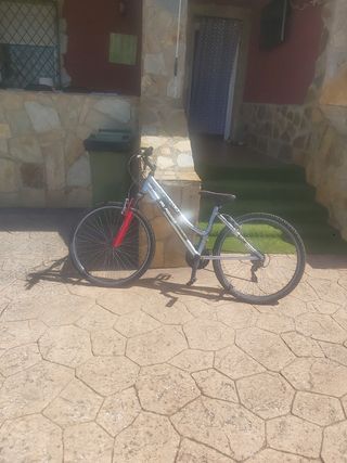 Bicicleta de mujer