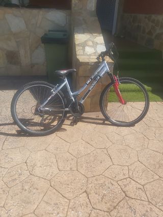 Bicicleta de mujer