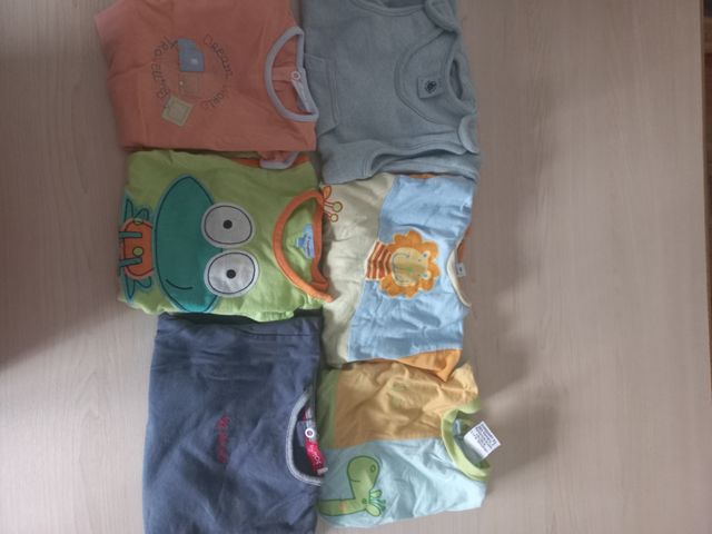 6 monos bebé 6 meses