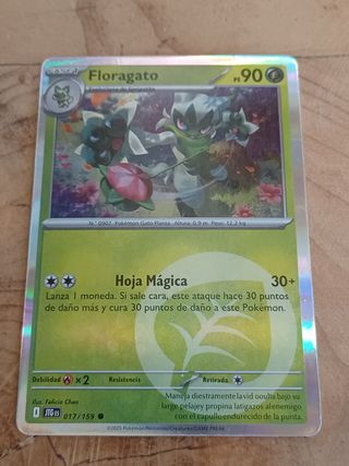 Floragato Pokémon - 017/159