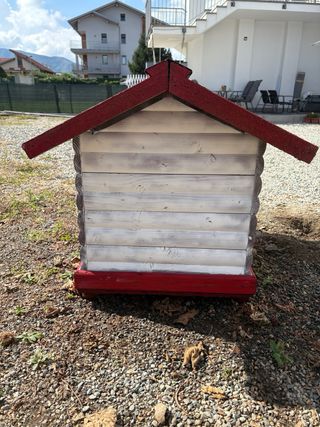 Cuccia legno cane rosso-bianca