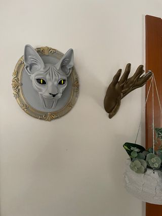 Testa di gatto Sphynx 3D