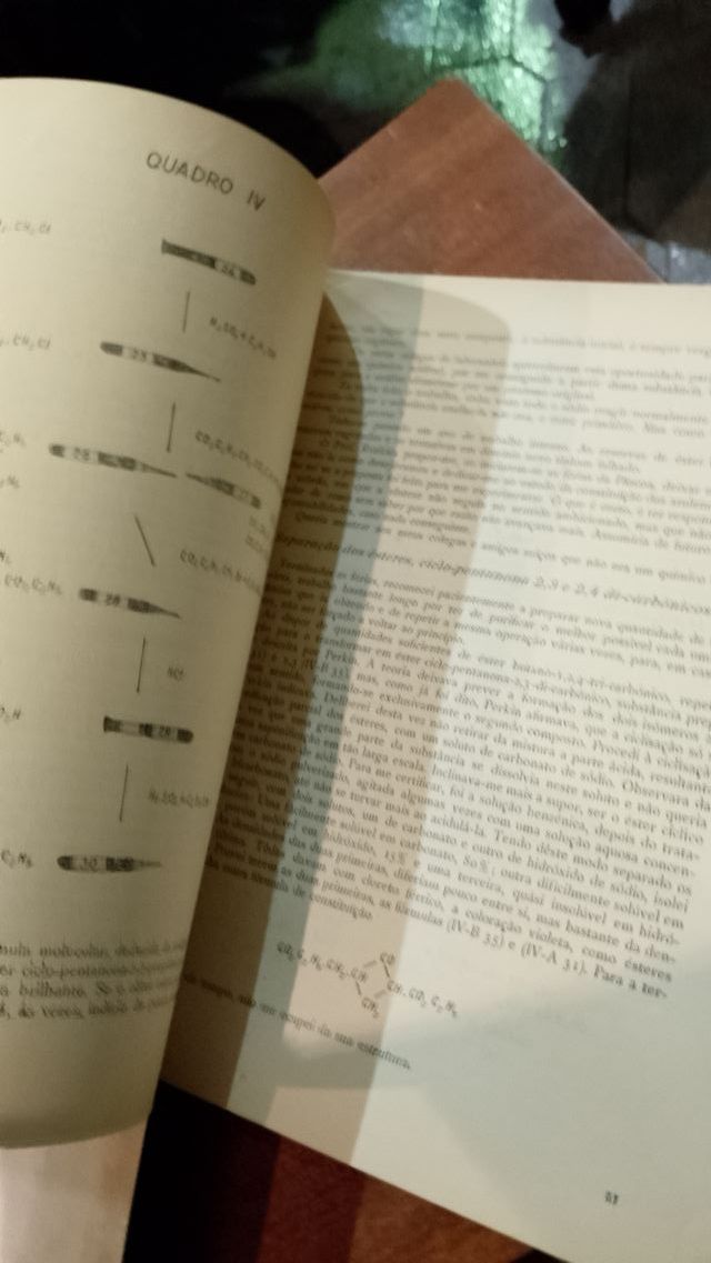 Engenheiro A. Borges de Almeida 2 Livros