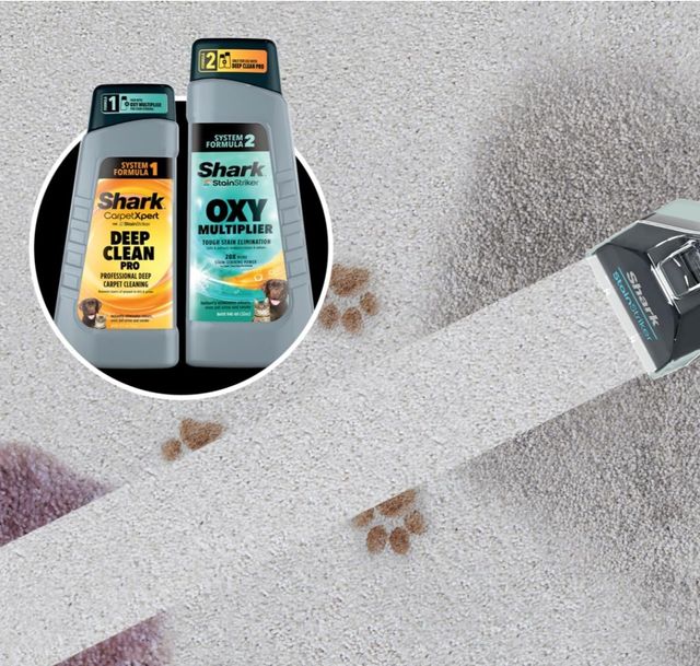 Shark StainStriker: Limpia manchas