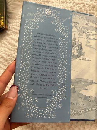 Princesa de los Hielos: Princesas del Reino de ...