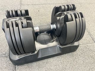 Mancuernas ajustables 20kg