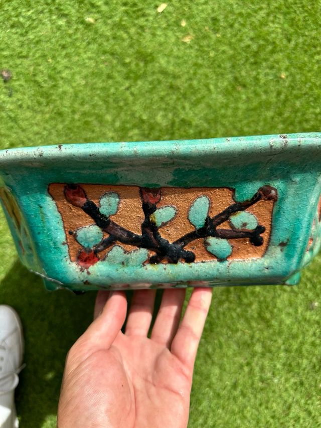 Maceta bonsái cerámica turquesa