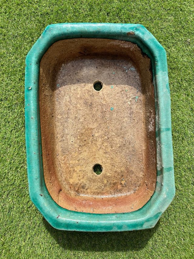 Maceta bonsái cerámica turquesa