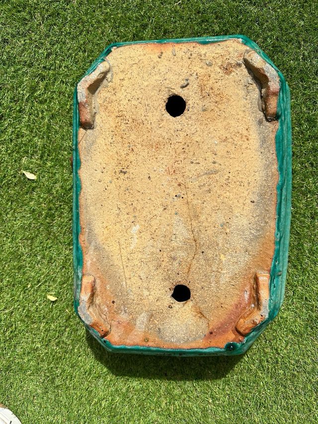 Maceta bonsái cerámica turquesa