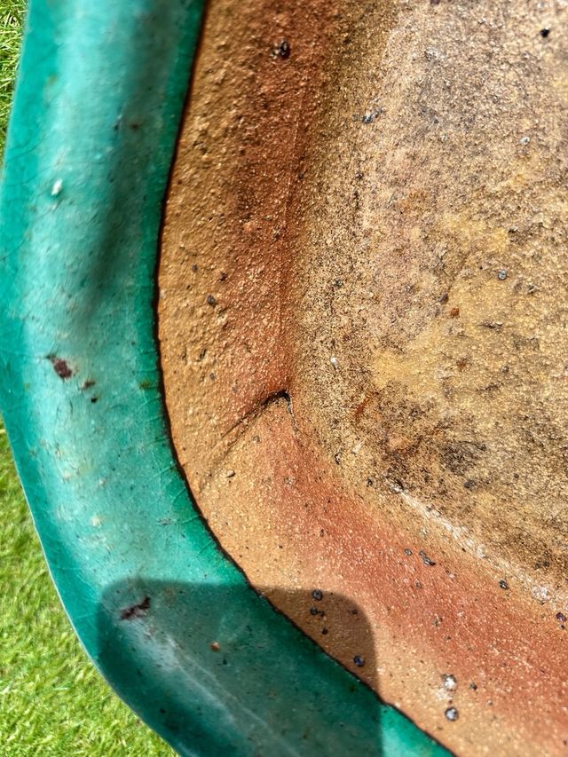 Maceta bonsái cerámica turquesa