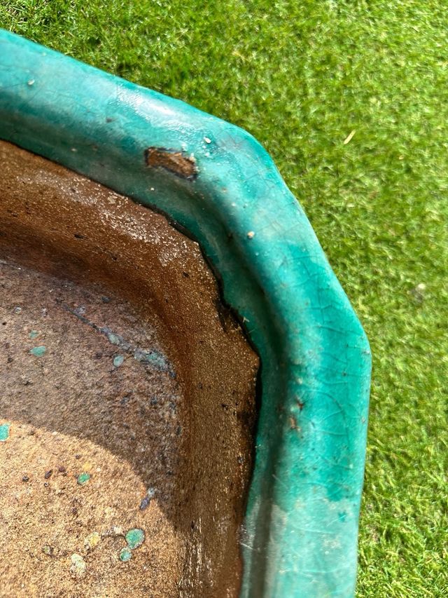 Maceta bonsái cerámica turquesa