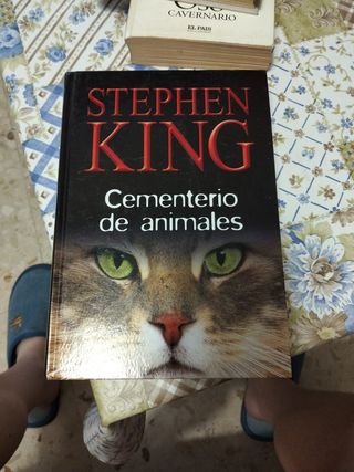 Cementerio De Animales
