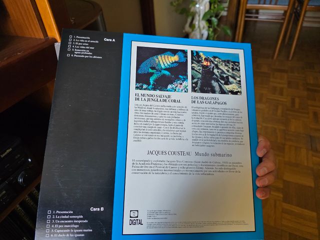 Pioneer CLD-700S - Reproductor CD LaserDisc