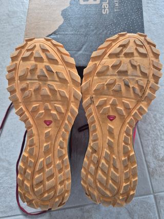 Salomon